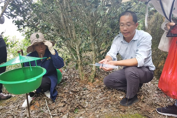 茶葉所專家赴梅州開展茶園生態管理技術培訓02 - 副本.jpg