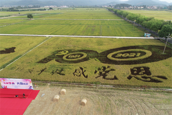 聯合開展主題黨日活動02.jpg