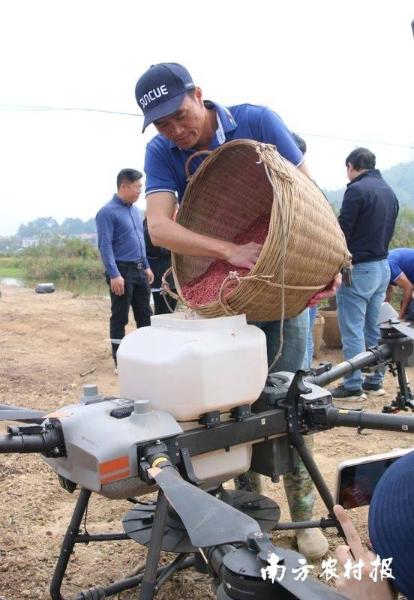 工人在台山市北陡鎮沙頭衝村直播田間操作。