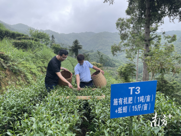 南方+ 馬吉池 拍攝