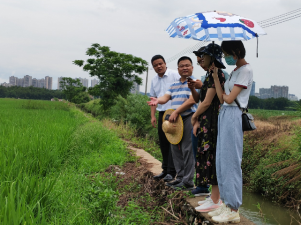 在沈所鎮石下村廣源生態農業種植基地現場交流。