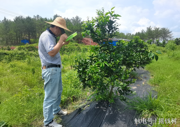 文章配圖