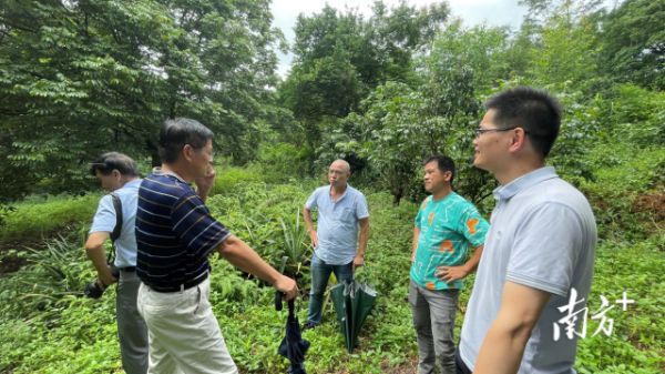 果樹所專家團隊到建成農業綜合開發有限公司產業園園區調研。