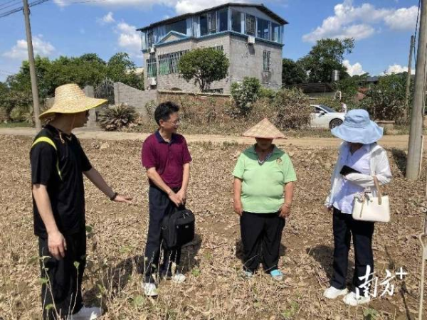 專家團隊指導農民如何做災後複耕工作。通訊員供圖