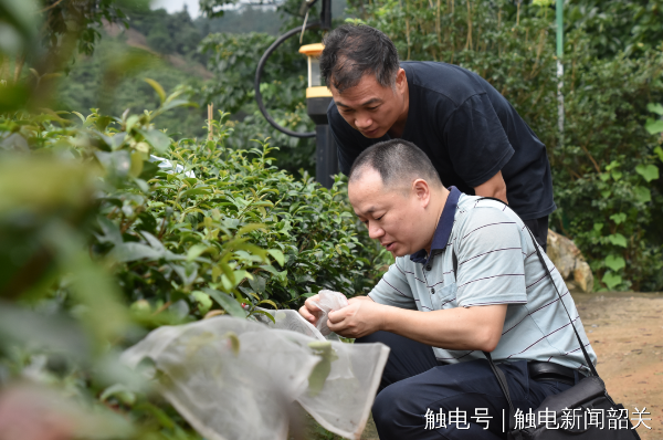 文章配圖