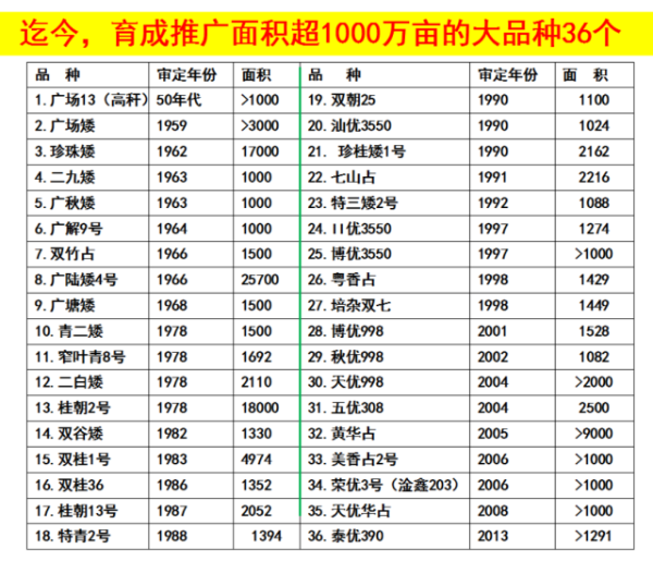 受訪者供圖