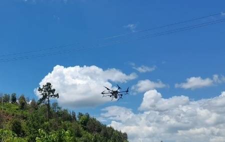 采用無人機現場噴藥防治沉香蟲害黃野螟。