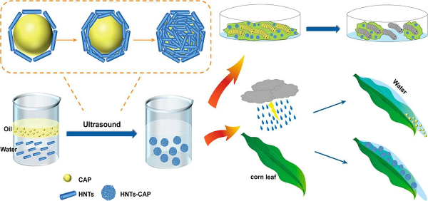 HNTs-CAP乳液體係製備及其耐雨水衝刷性和殺蟲效果.jpg