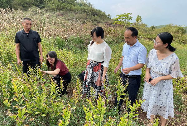 走訪種植基地.jpg