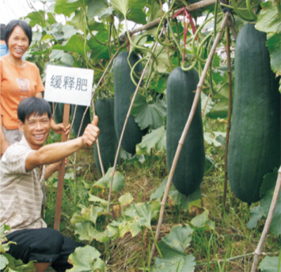 蔬菜高效施肥技術.jpg