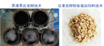 廢棄物飼料化利用技術.jpg