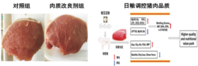 肉品質量安全綠色提升及評價技術.jpg