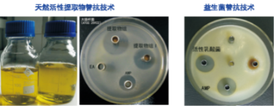 綠色安全替抗技術.jpg