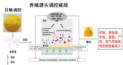 臭氣減排和糞汙處理技術 (2).jpg