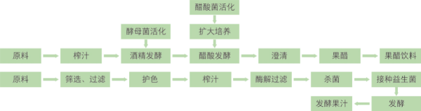 果蔬發酵製品加工技術 (1).jpg