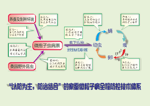 家蠶微粒子病全程防控技術體係圖示.png