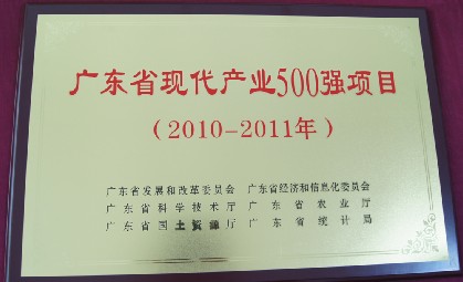 廣東省現代產業500強項目