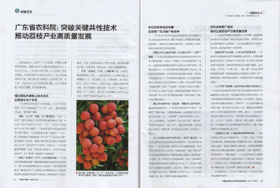 《中國鄉村振興》雜誌2.png