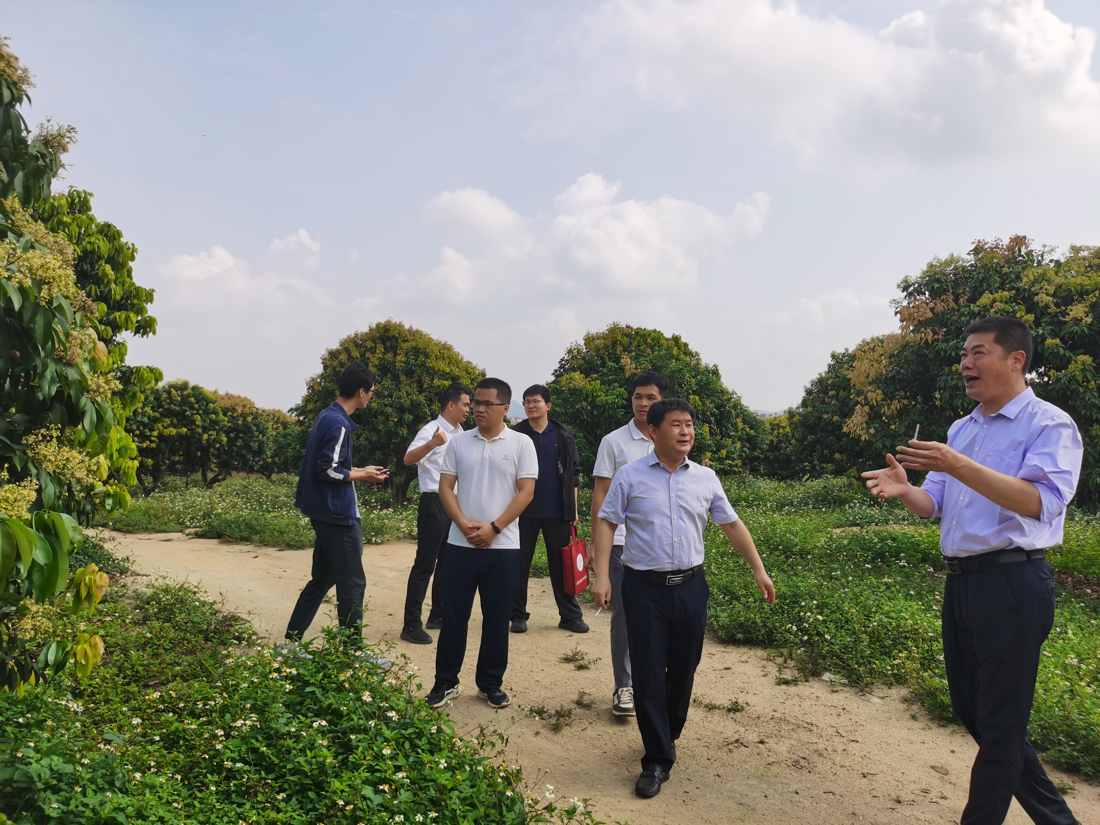 在茂名市眾潤農業科技發展有限公司考察標準化荔枝園建設情況.jpg