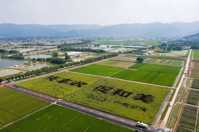 文章配圖