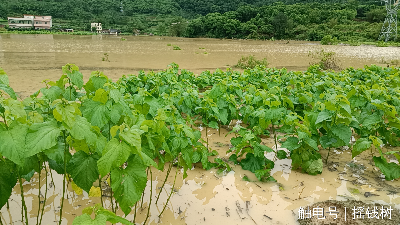 文章配圖