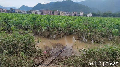 文章配圖