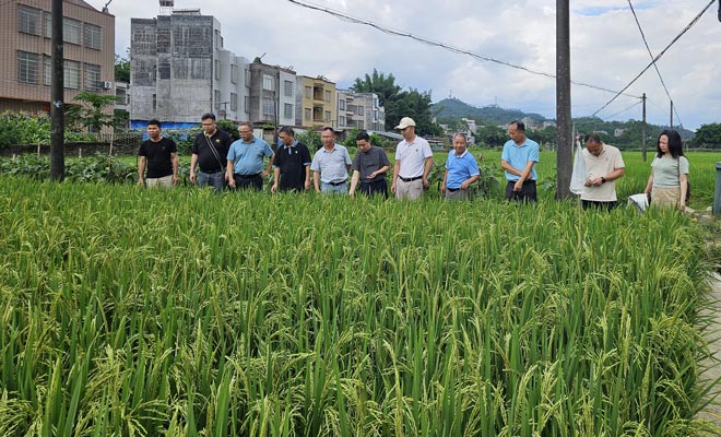 植保所到信宜市開展“百千萬工程”調研及植保科技服務A66.jpg