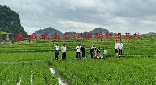 植保所農村科技特派員到安順開展科技服務.jpg