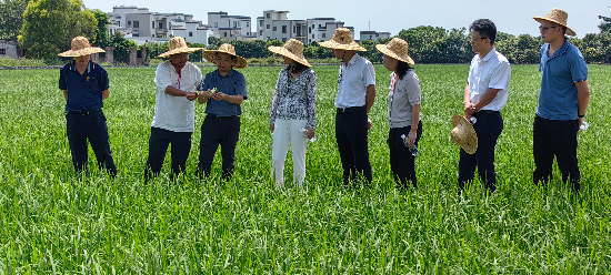 植保所到高州、電白開展“百千萬工程”科技對接服務.jpg